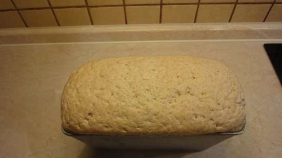 Pane di grano a lievitazione naturale a base di chicchi di grano germogliati da zero (al forno)