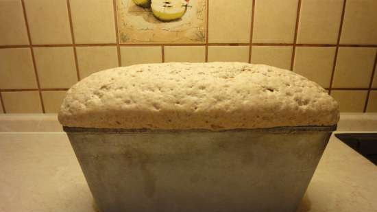 Pane di grano a lievitazione naturale a base di chicchi di grano germogliati da zero (al forno)