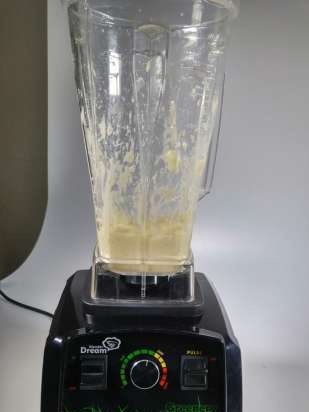 Professionele blenders RawMID DREAM, King MIX, Vitamix