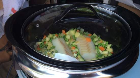 Slow cookers: model selection, features, reviews