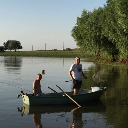 Snoek of meerval viskoekjes