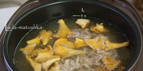 Rich cabbage soup with boiled meat, turnips and chanterelles