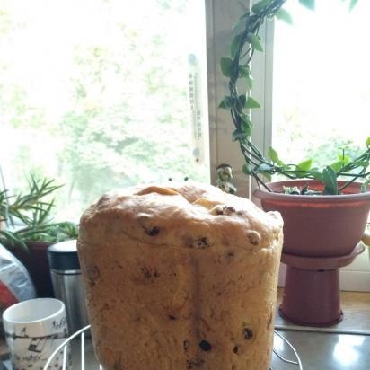 Pane italiano con uvetta e rosmarino (macchina per il pane)