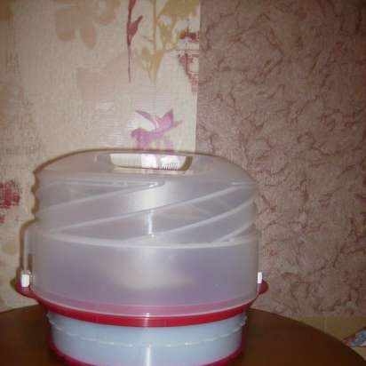 Tupperware จานพลาสติก - บทวิจารณ์