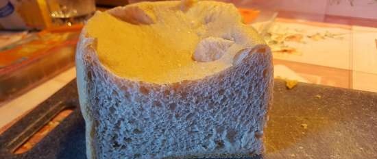 Pain de Campagne de Peter Reinhart (forn)