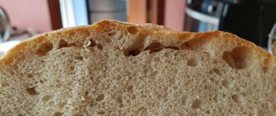 Pain de Campagne, Peter Reinhart (piekarnik)