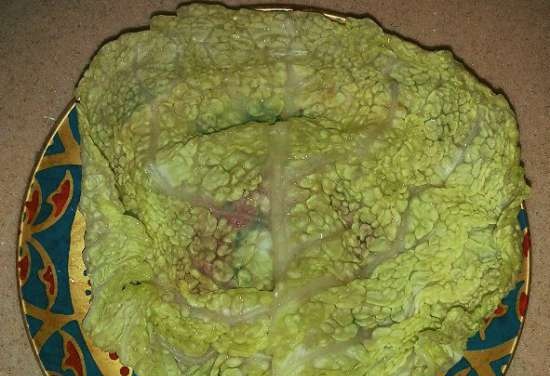 Savoy cabbage cabbage rolls with celery on a cushion of green beans in a multicooker Redmond RMC-M 4502