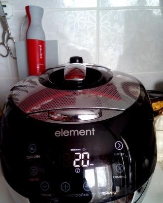 Multicooker Element FWA 01 PB El