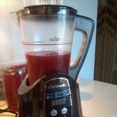 Kromax Endever Skyline BS-91 blender-soepkoker elektrisch