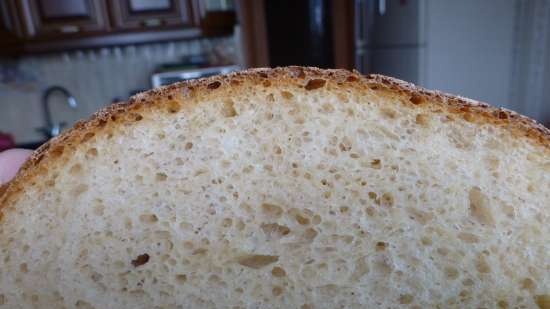 Pane di Como (Pane di Como) al forno (da non confondere con Pane di Come Antico)