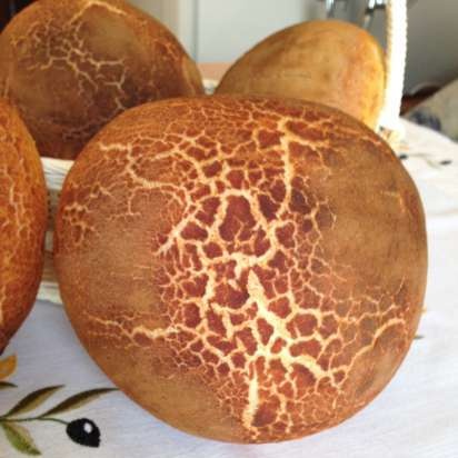 Tiger bread