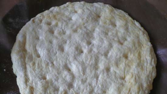 Lean yeast-free flatbread on vegetable or fruit juice (multi-oven GFB-1500 Pizza-grill)