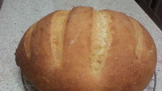 Pane da tavola bianco a lunga durata (forno)