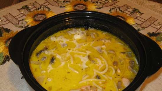 Cheese soup with salmon, mushrooms and homemade noodles (gas panel)