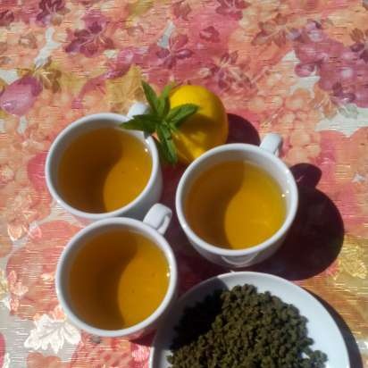 Té fermentado elaborado con hojas de jardín y plantas silvestres (clase magistral)