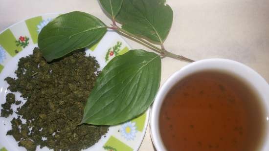 Fermented tea made from leaves of garden and wild plants (master class)