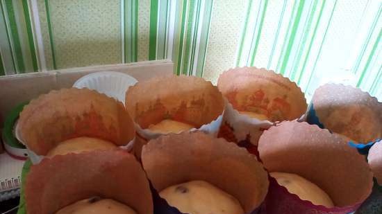 Kulich with Myasoedovskaya in the oven (master class)