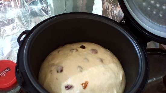 Kulich with Myasoedovskaya in the oven (master class)