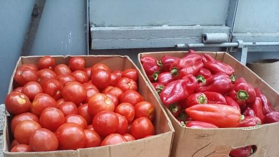 Pomodori tritati nel loro stesso succo senza sale e aceto (preparazione per insalata invernale e pizza)