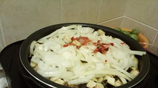 Multicooker-snelkookpan-slowcooker Steba DD2 / DD2 XL