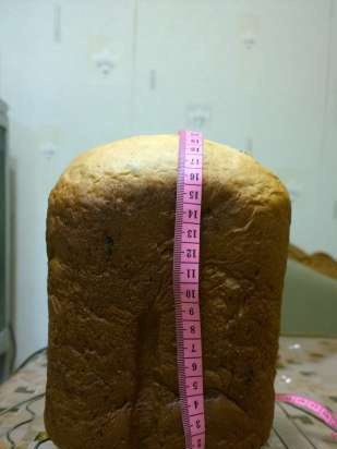 Kulich Royal fastidio en una panificadora