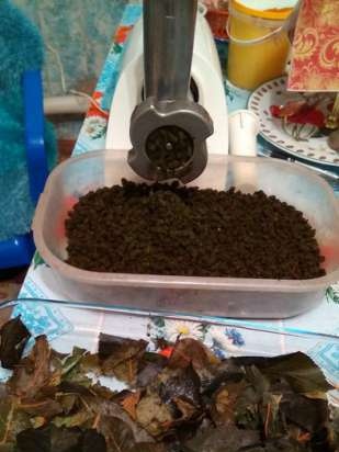 Té fermentado elaborado con hojas de jardín y plantas silvestres (clase magistral)