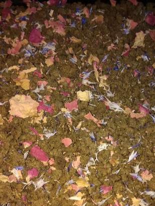 Té fermentado elaborado con hojas de jardín y plantas silvestres (clase magistral)