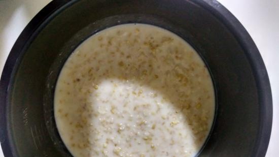 Oat milk porridge in a Brand 6051 pressure cooker