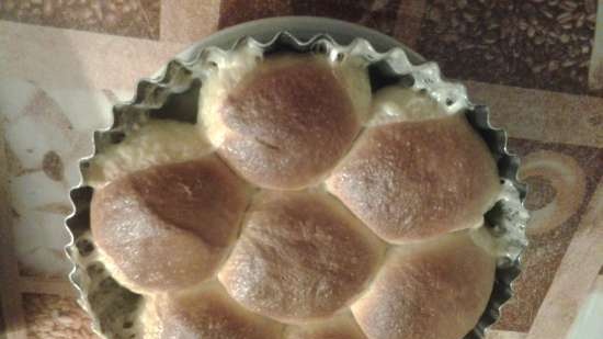 Buchteln buns (Buchtel) con ripieno di crema