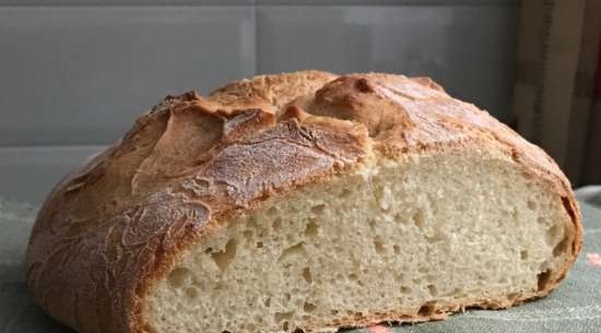 Pane di Como (Pane di Como) al forno (da non confondere con Pane di Come Antico)