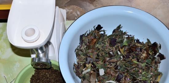 Fermented tea made from leaves of garden and wild plants (master class)