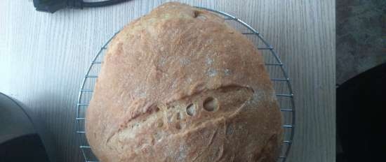 Pain de Campagne de Peter Reinhart (forn)