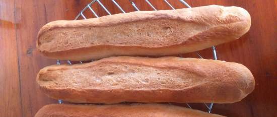 Ganacho flutes (forno)