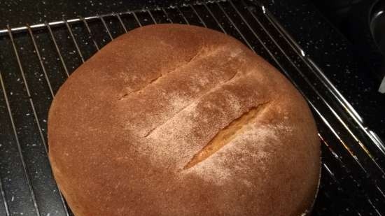 Pane di segale e grano per principianti (al forno)