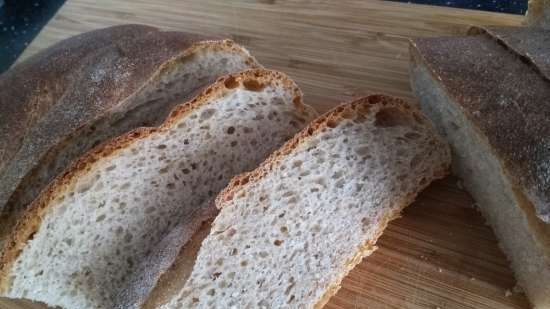 Pane di segale e grano per principianti (al forno)