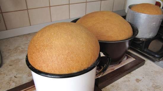 Kulich con Myasoedovskaya al forno (master class)