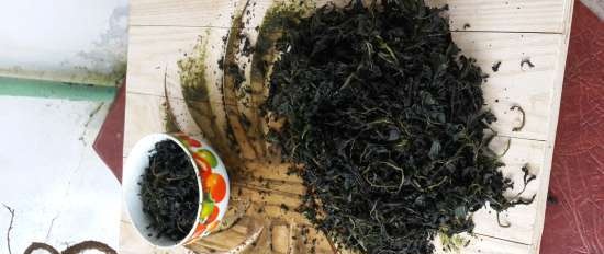 Fermented tea made from leaves of garden and wild plants (master class)