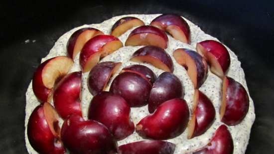 Torta di semi di papavero con prugne