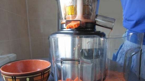 Vijzel juicer merk 9100