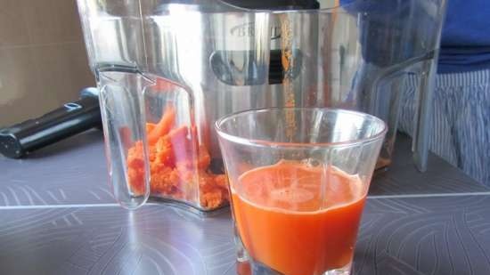 Vijzel juicer merk 9100