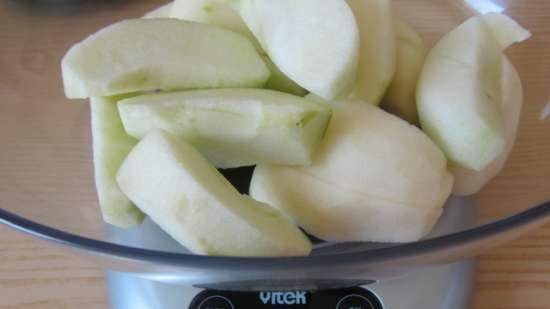 Vijzel juicer merk 9100