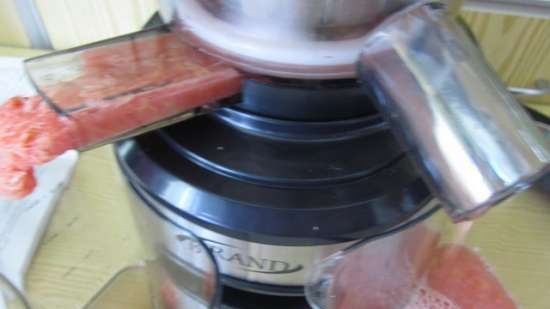 Auger juicer Brand 9100