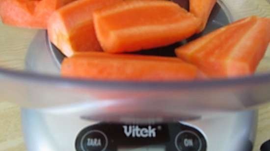 Vijzel juicer merk 9100