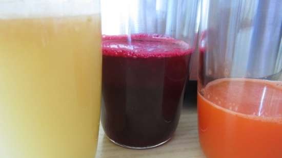 Vijzel juicer merk 9100