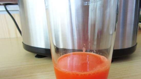 Vijzel juicer merk 9100