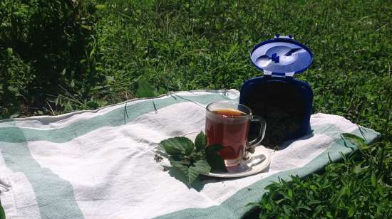 Tè fermentato a base di foglie di giardino e piante selvatiche (master class)