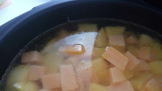 Sopa de puré de bolets (multicooker Redmond RMС-IH300)