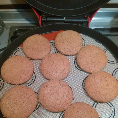 Biscotti di farina d'avena secondo GOST secondo la ricetta di Irina Chadeeva (pizzaiola Princess 115000)