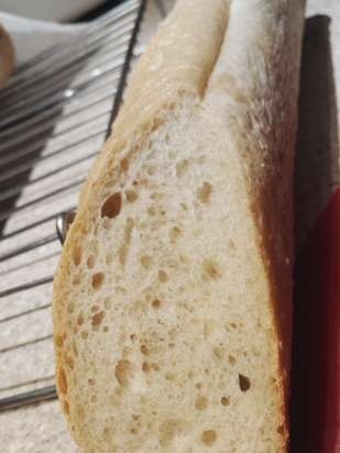 Pain de Campagne của Peter Reinhart (lò nướng)