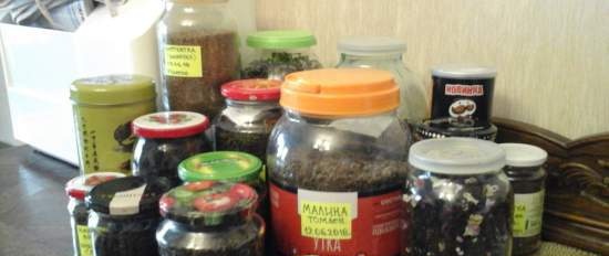 Té fermentado elaborado con hojas de jardín y plantas silvestres (clase magistral)